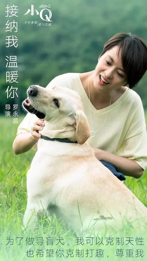 科西嘉大学 Science and technology diploma